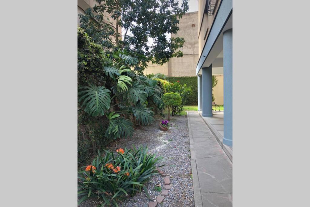 Apartmán Departamento Centrico A Metros De Plaza Belgrano San Salvador de Jujuy Exteriér fotografie