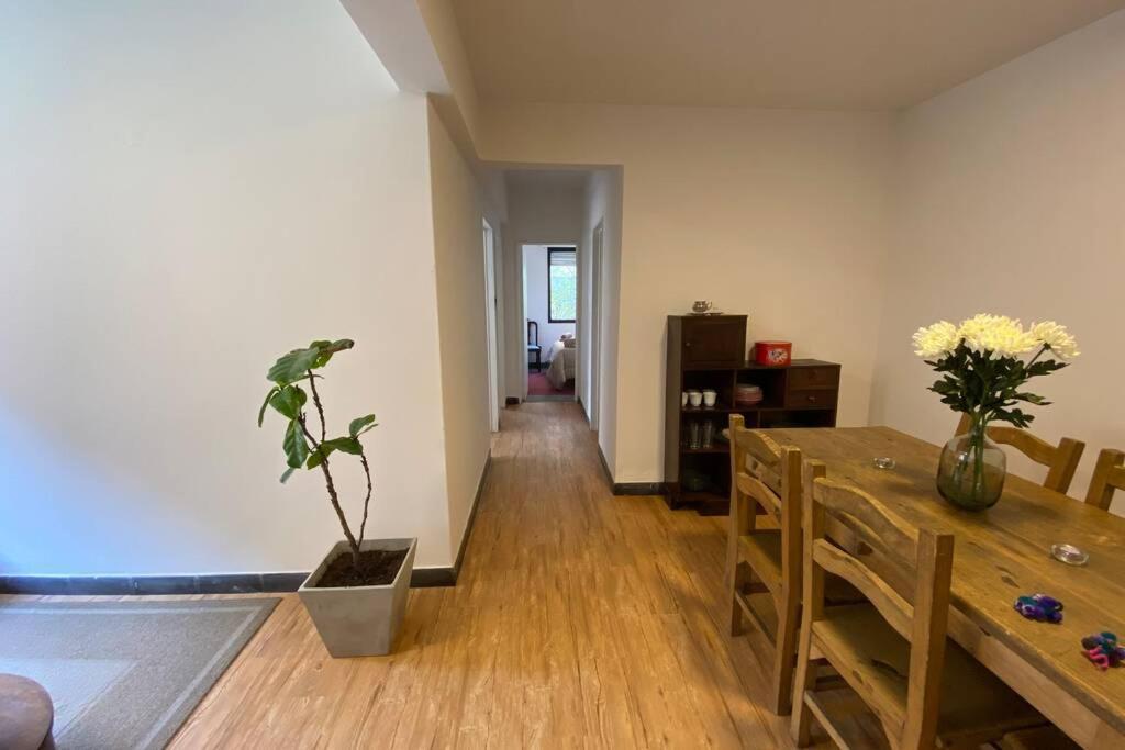 Apartmán Departamento Centrico A Metros De Plaza Belgrano San Salvador de Jujuy Exteriér fotografie